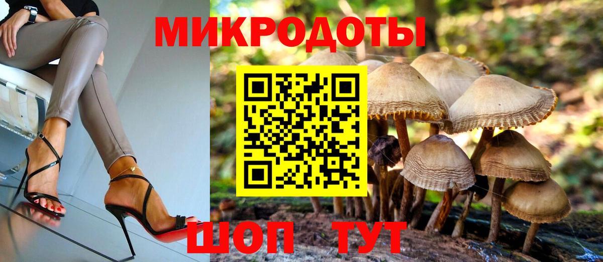 Карачаевск  Галлюциногенные грибы Psilocybe  Псилоцибиновые грибы Magic Shrooms  Вход с VPN 